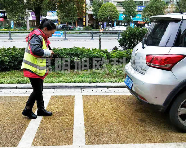 貴州安順市路邊停車收費系統(tǒng)