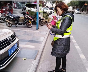 漾濞縣城市路邊停車收費系統